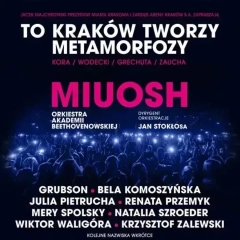 To Kraków tworzy metamorfozy