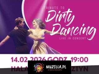 Tribute To Dirty Dancing - Live in Concert