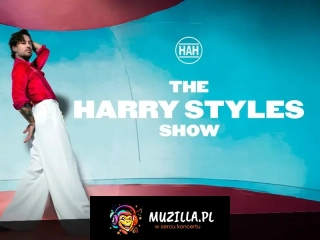 The Harry Styles Show - A Tribute to Harry Styles by Sean Mac