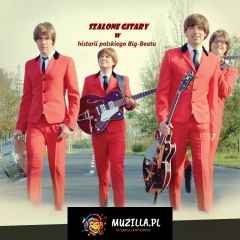 Wakacyjna trasa Szalonych gitar