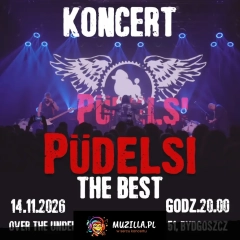 Koncert Zespołu Püdelsi.