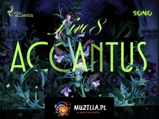 Accantus Live 8