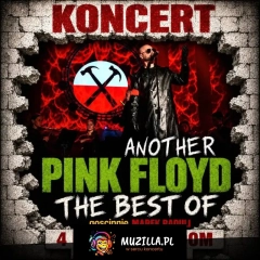 Another Pink Floyd i Marek Raduli