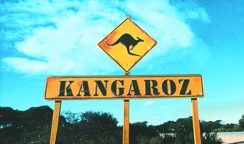 Kangaroz